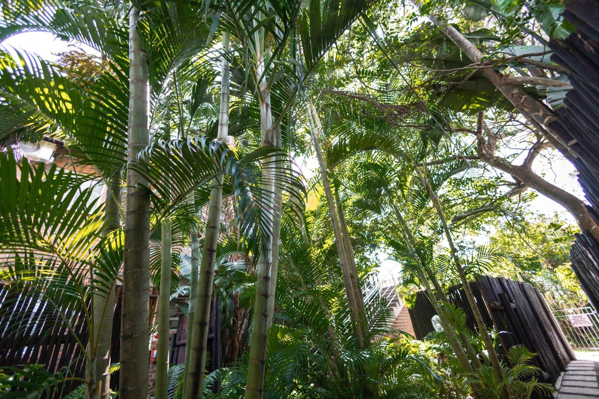 Little Eden St Lucia Leilighet Eksteriør bilde